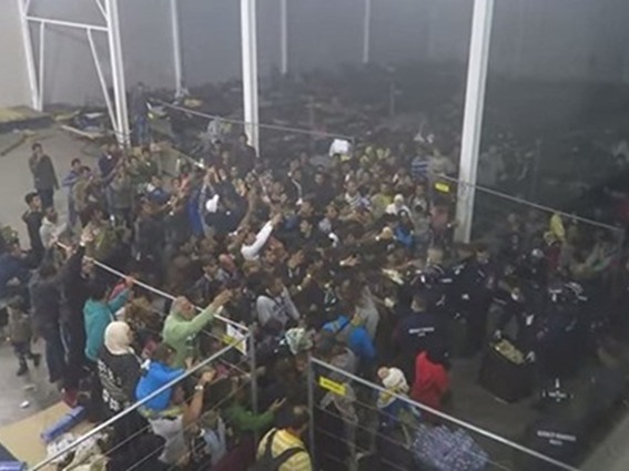 بالفيديو..الشرطة المجرية ترمي الخبز على اللاجئين بطريقة غير انسانية