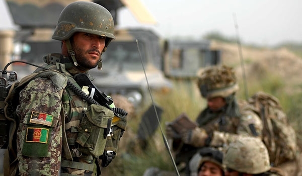 Afghan Army Kills 41 Taliban militants