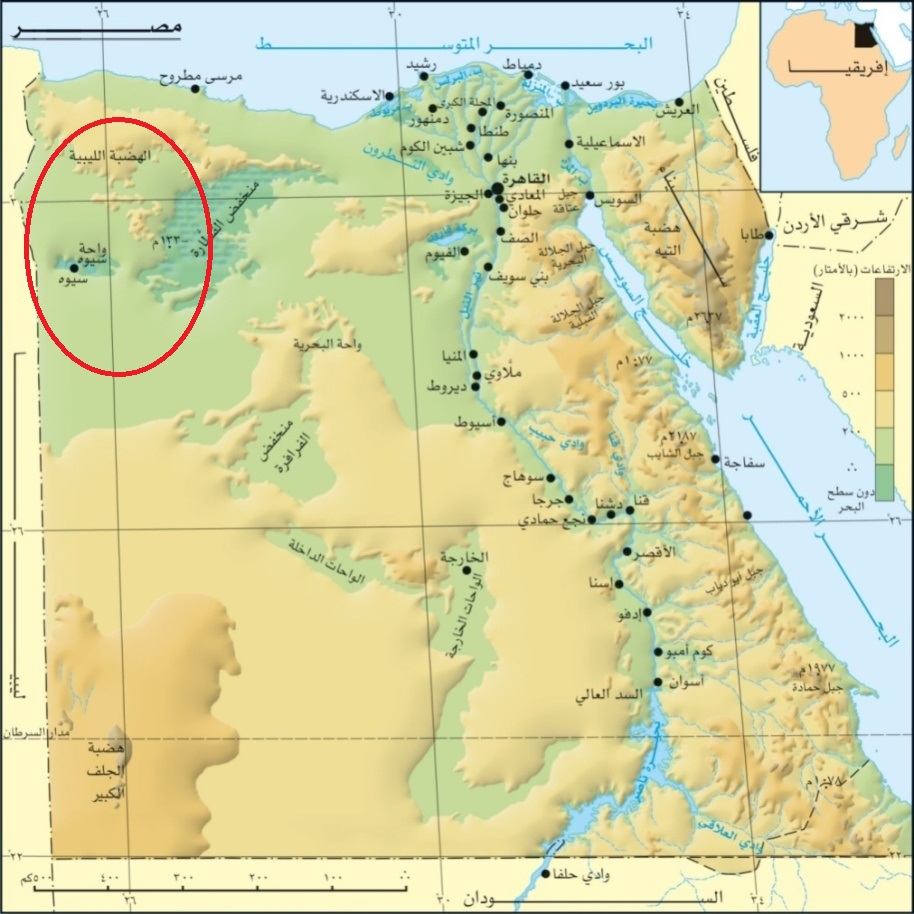 القوات المصرية تقصف قافلة سياح مكسيكيين في الصحراء الغربية على الحدود مع ليبيا