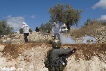 Israeli Forces Attack Farmers in Gaza as Jewish Settlers Steal Olives