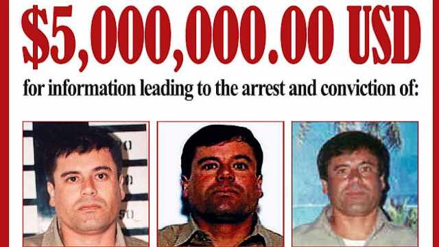 EEUU y México siguen pasos de ‘El Chapo’ en Colombia