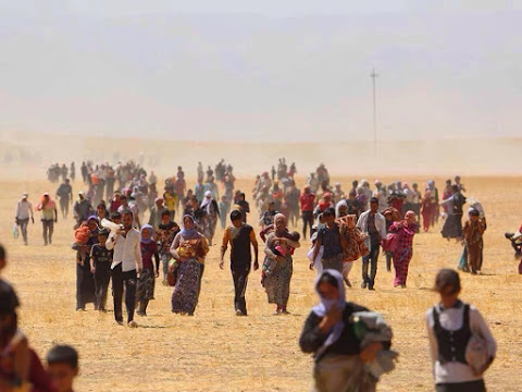 منظمة الهجرة الدولية: داعش يهجر 3.1 مليون عراقي من نينوى و الأنبار