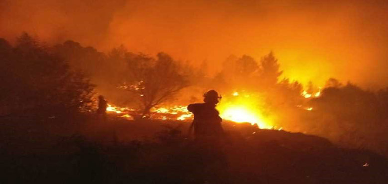 حیفا خطرے میں، دسیوں گھر جل کر راکھ، ترکی نے امداد بھیجی + تصاویر
