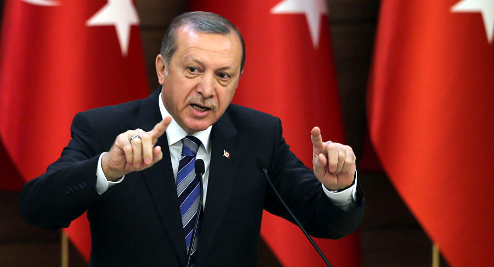 أردوغان: سنقیم منطقة حظر دولي في سوريا و"الجيش الحر" معارضة معتدلة