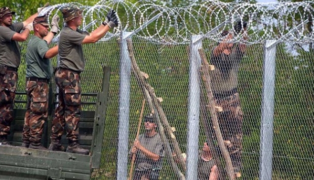 نائب أوروبي يدعو لتعليق رؤوس خنازير على الحدود لمنع دخول المهاجرين