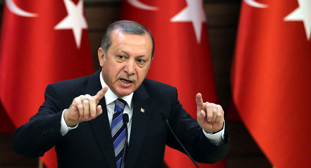 Turkey Incursion to Extend Deeper into Syrian: Erdogan