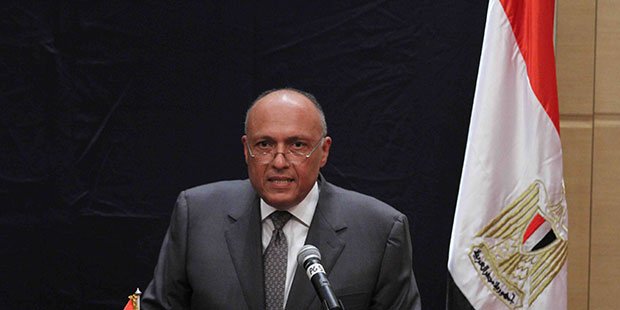 Egypt at “Vast Contrast” with Saudi View on Syria: FM