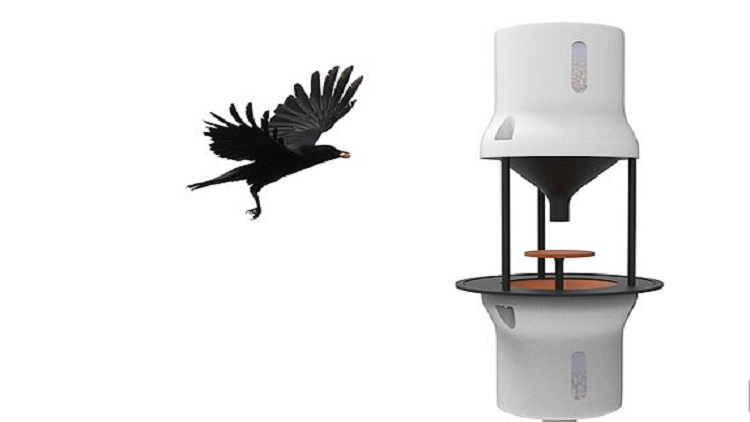 شركة هولندية تدرب الغربان لالتقاط أعقاب السجائر +صور