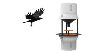 شركة هولندية تدرب الغربان لالتقاط أعقاب السجائر +صور