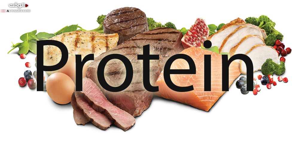 البروتين: أهميته والدلالات على نقصه في الجسم