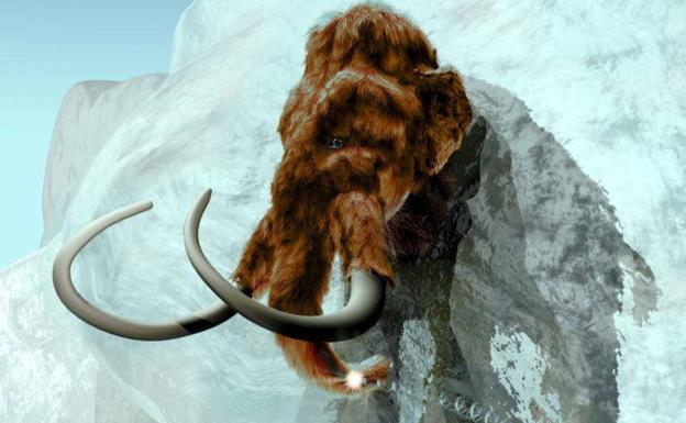 Los mamuts machos caían en trampas naturales por moverse solos