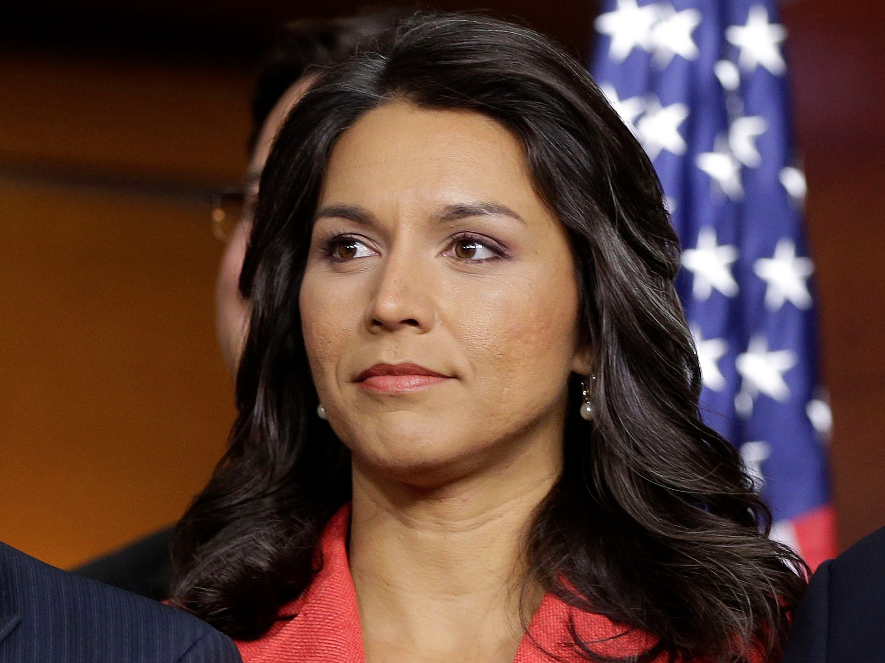 US Must Stop Support for Terrorists in Syria: Congresswoman