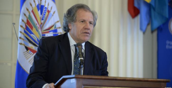 Organizaciones internacionales rechazan acciones injerencistas de la OEA