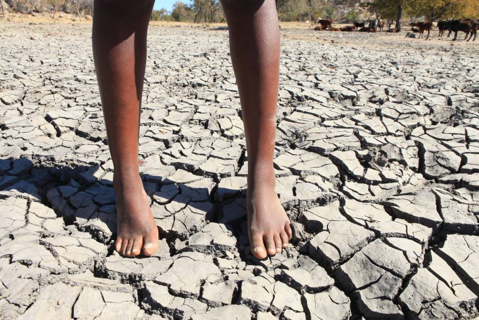 Unicef alerta de que 175 millones de niños en el mundo se verán afectados por el cambio climático