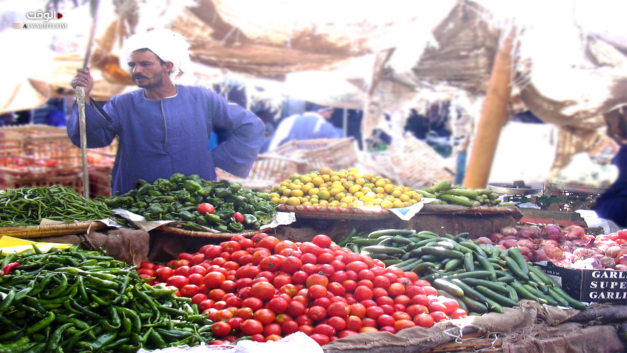 الحكومة المصرية تزيد الدعم بطاقات التموين