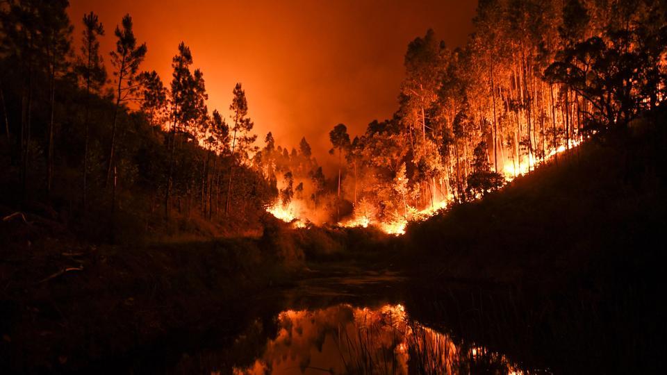 62 People Killed in Raging Portugal Forest Fire