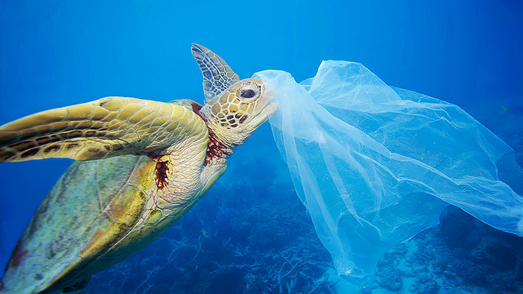 Chile será el primer país de América en prohibir bolsas plásticas en comunas costeras