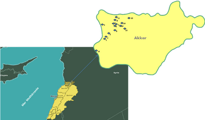 Lebanese Forces Foil ISIS Terror Attack in Akkar