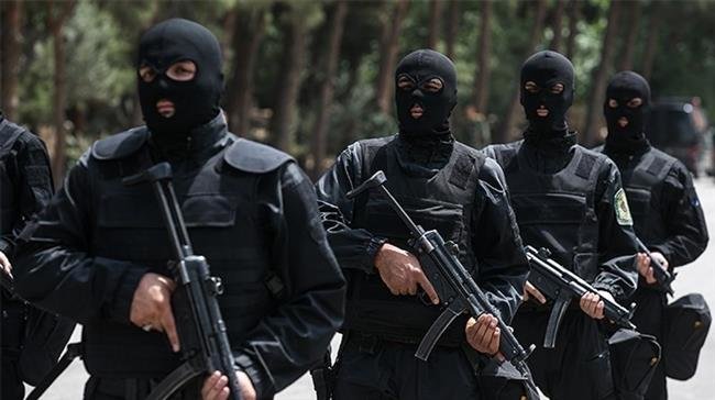Iran Ready for Joint Anti-Terror Op with Pakistan after Border Ambush