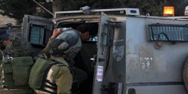 الاحتلال الإسرائيلي يعتقل 8 فلسطينيين في القدس المحتلة
