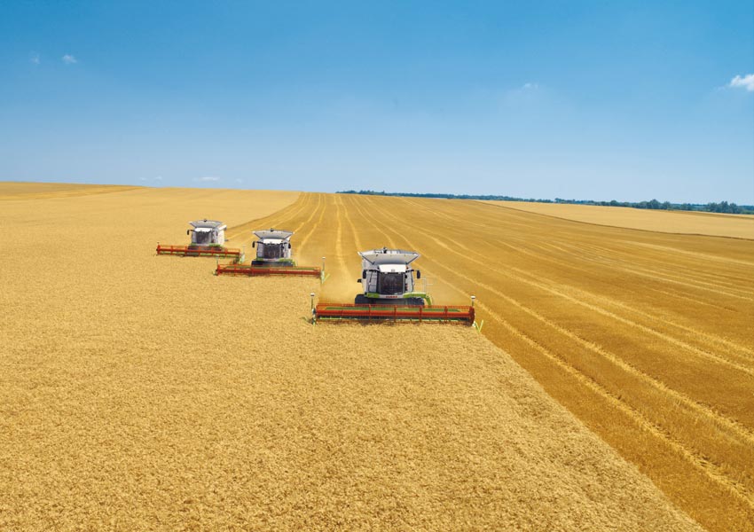 روسيا ستنتج 110 مليون طن من القمح في 2018