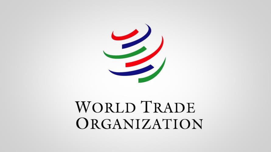 منظمة التجارة العالمية والأداء المتدني لها
