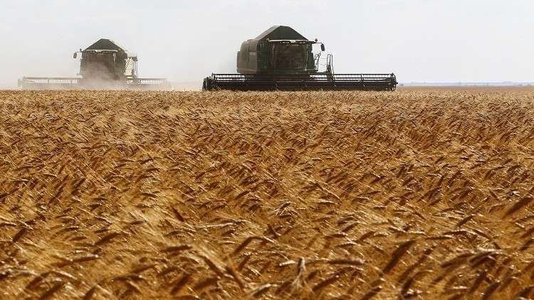 روسيا تتفوق على أمريكا في أسواق الحبوب