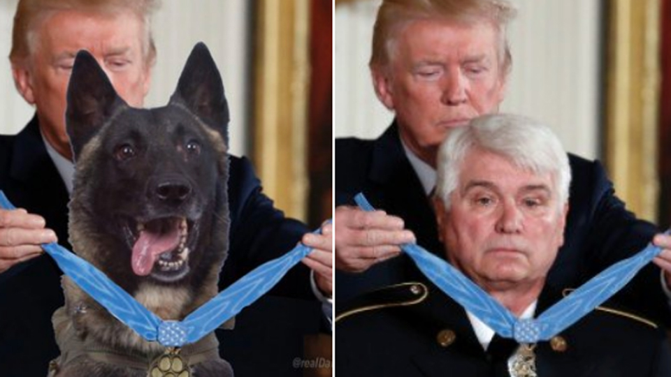 Trump Tweets Faked Photo of Hero Dog Getting Medal