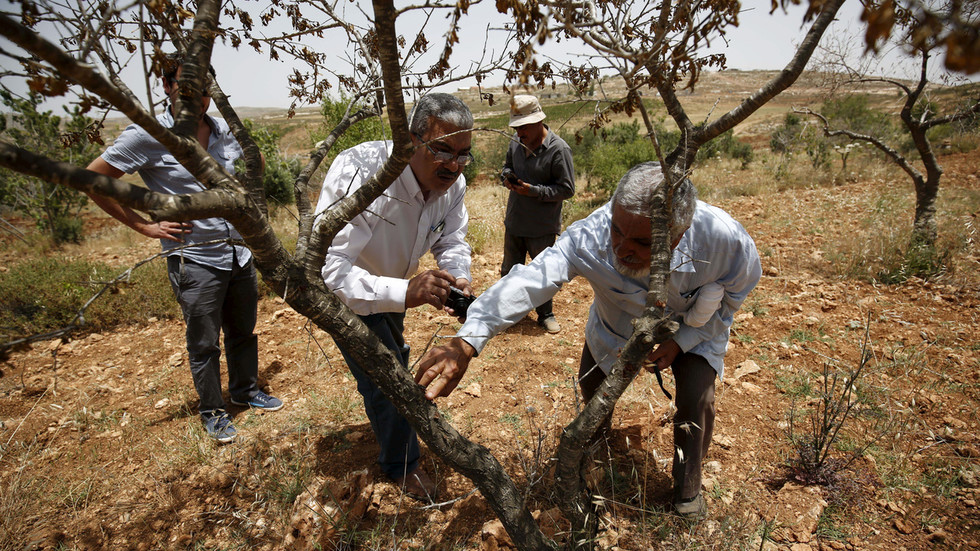 Israeli Regime Cuts Palestinian Farmers’ Access to Their Land in Occupied W Bank