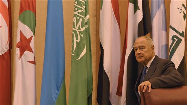 Arab League Chief under Fire after Saying Importance of Palestine Reduced