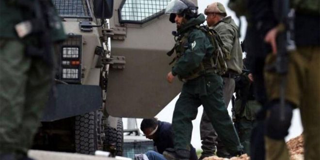 الاحتلال الإسرائيلي يعتقل 14 فلسطينياً في الضفة الغربية