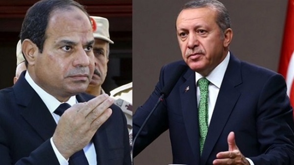 وزير الخارجية المصري ردّاً على أردوغان: لن ننزلق إلى مستواك