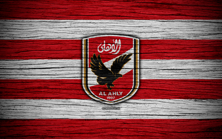 الأهلي بطلاً للدوري المصري