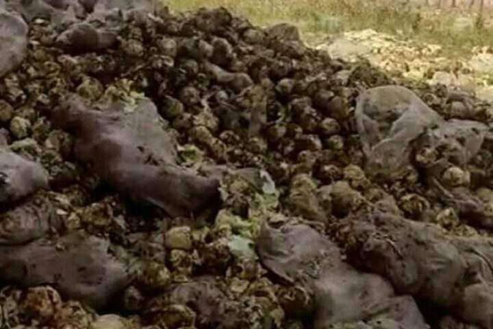 طالبان محموله کمک‌های بشر دوستانه را به نابودی کشاند