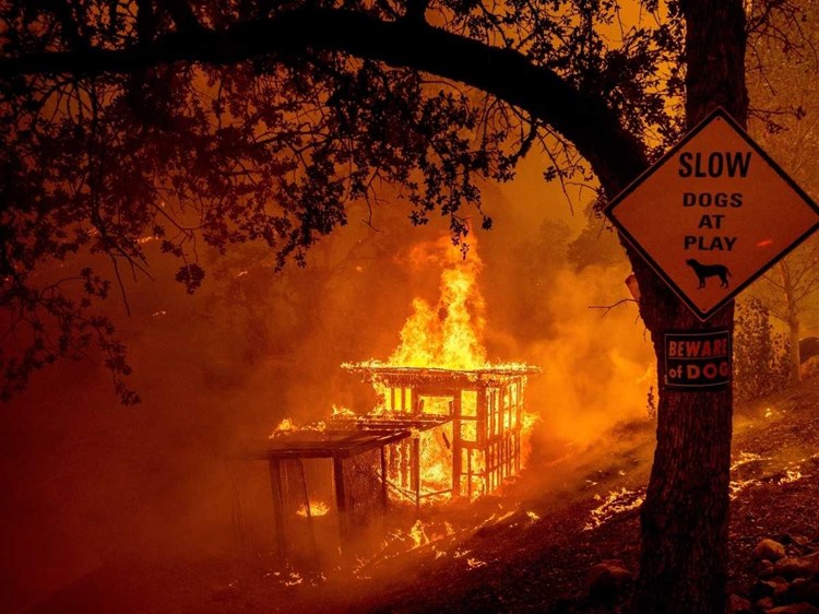 عشرات الآلاف يغادرون منازلهم في كاليفورنيا هرباً من مئات الحرائق