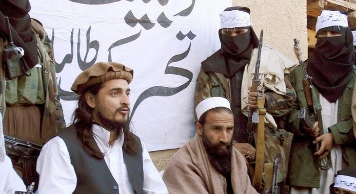 طالبان پاکستان با دولت اسلام آباد اعلام آتش بس کرد