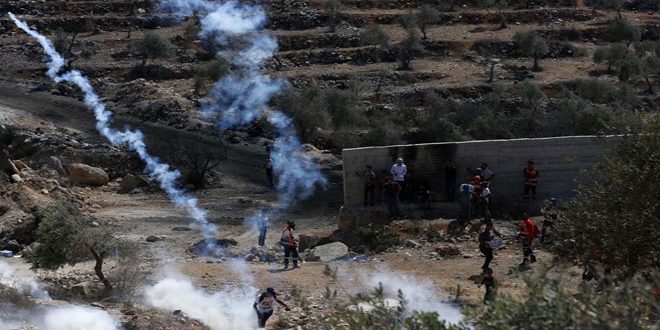 Israeli Regime Injures Dozens of Palestinians in Bethlehem