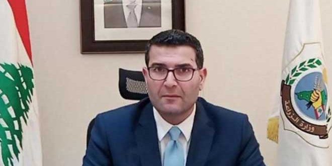 Second Lebanese Minister Slams Saudi War on Yemen