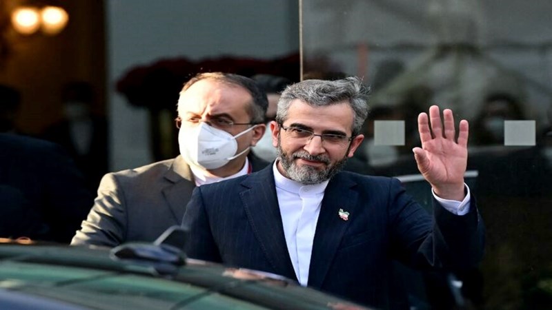 كبير المفاوضين الإيرانيين في فيينا: بعد رفع العقوبات عملياً سنعود الى اجراءاتنا النووية السابقة
