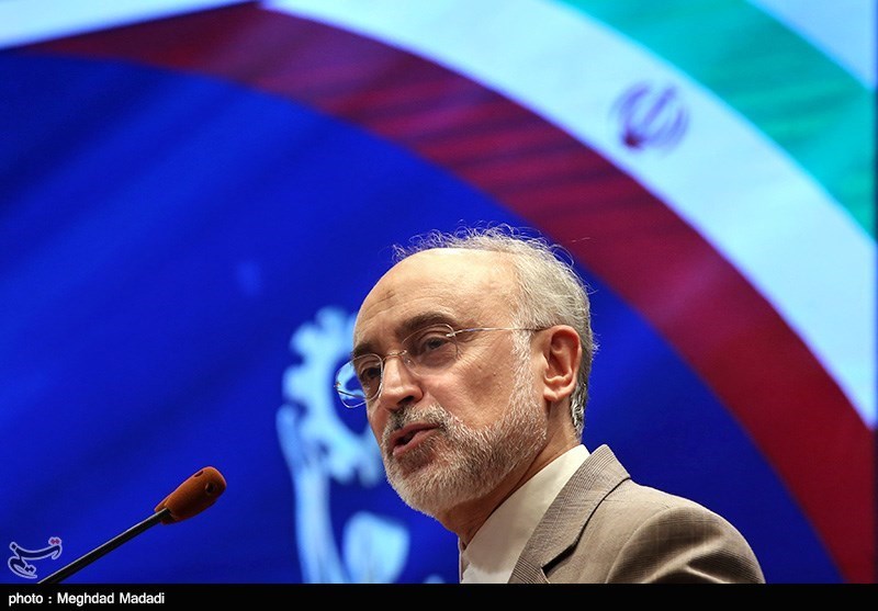 رئيس الطاقة الذرية: ايران مستعدة لبدء تخصيب اليورانيوم بنسبة 20 %