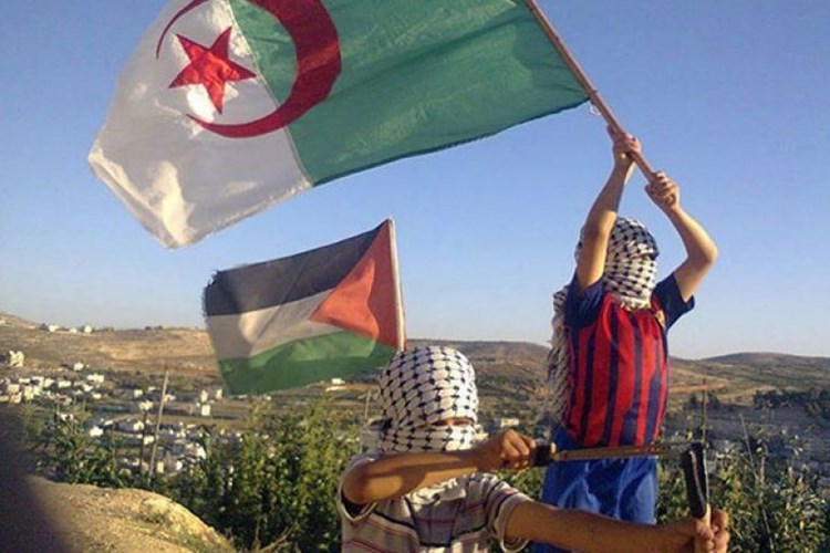 سفير الجزائر لدى الأمم المتحدة: الفلسطينيين ليسوا مسؤولين عن العنف في القدس