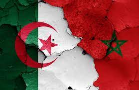 الحكومة الجزائرية.. تصريحات الجارة المغاربية عن علاقة "حزب الله" اللبناني بـ"البوليساريو" أكاذيب مضللة