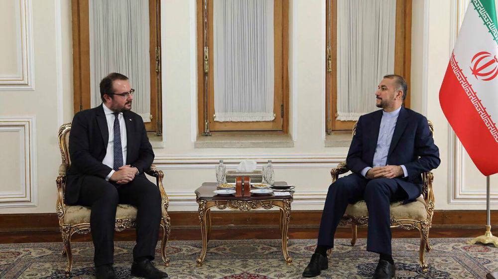 Iran Sent No Arms to Any Side of Ukraine War: Foreign Minister