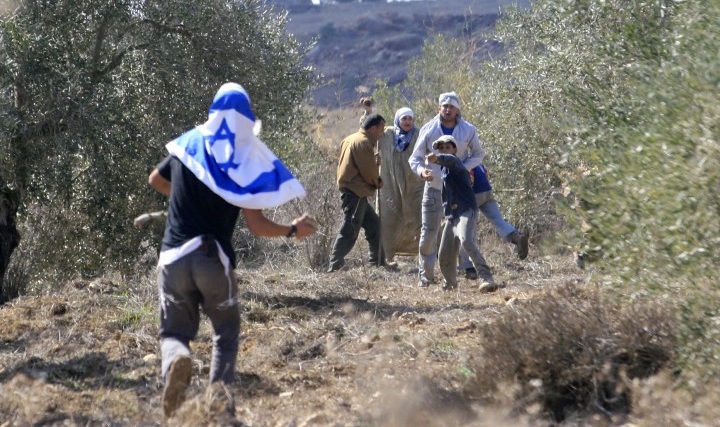 Israeli Settlers Wage Chemical Warfare against Palestinians’ Olive Trees in West Bank