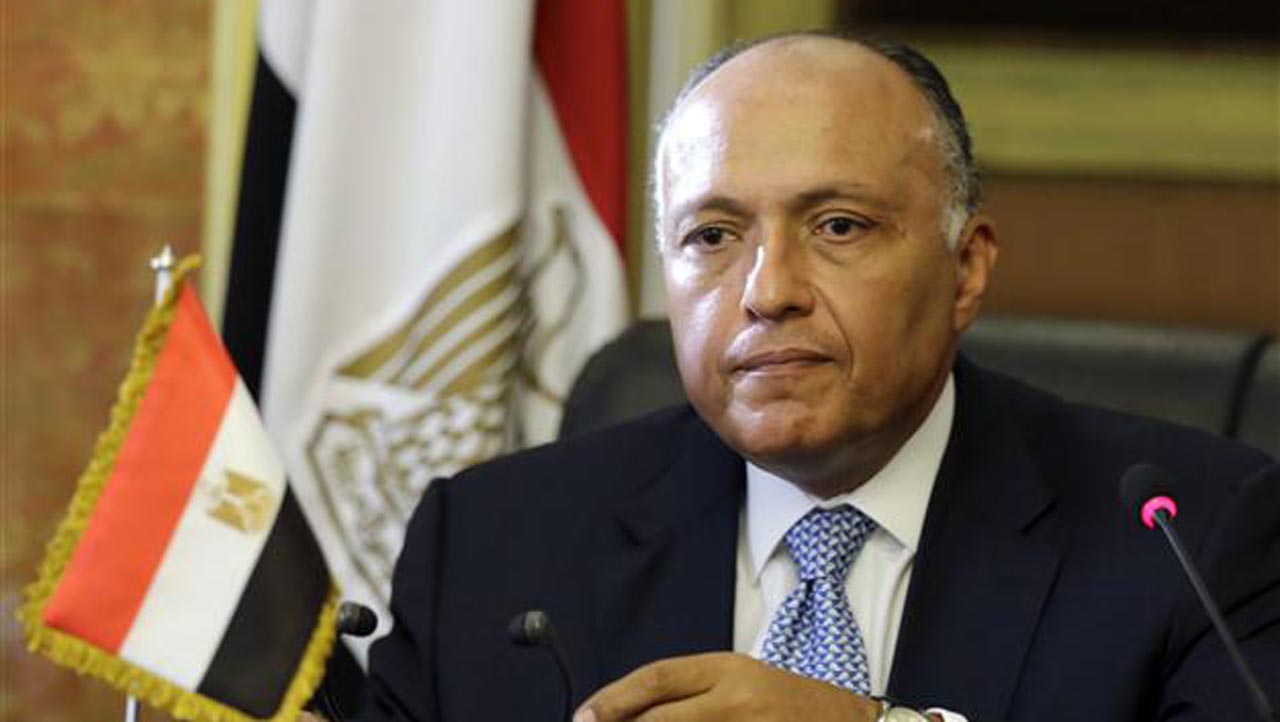 Any Settlement to Syria Crisis Should Guarantee Country’s Sovereignty: Egypt