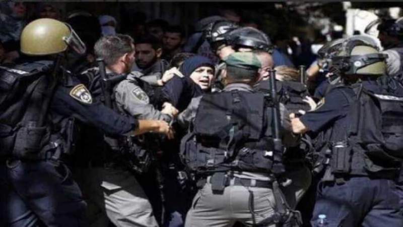الاحتلال يعتقل 55 فلسطينيا بينهم سيدة معظمهم من قلقيلية