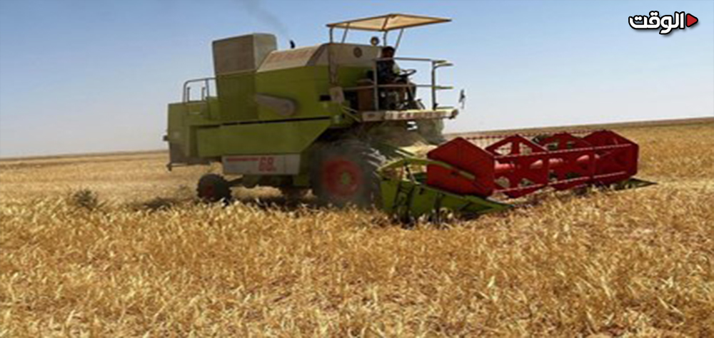 روسيا ترسل إلى كوبا 25 ألف طن من القمح من دون مقابل