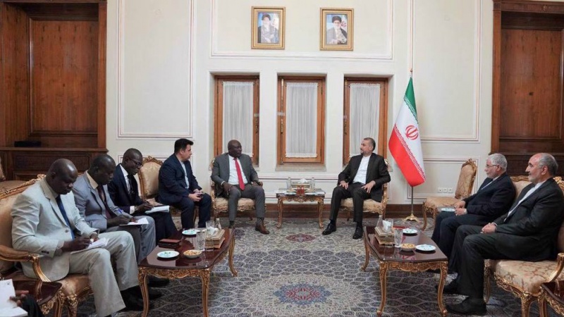 Developing Relations with African Countries on Iran’s Agenda: FM
