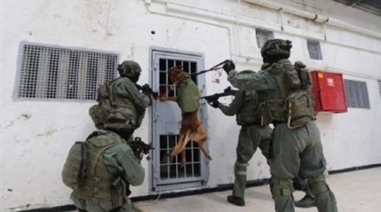 الاحتلال الاسرائيلي ينكّل بأسرى سجن النقب وينفذ بحقهم عقوبات انتقامية