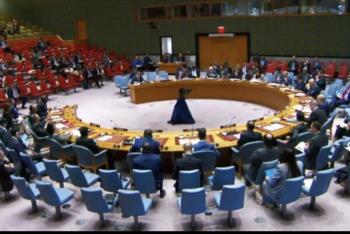 السيد هاني زاده: الکيان الإسرائيلي لن يلتزم بقرار مجلس الأمن بوقف إطلاق النار